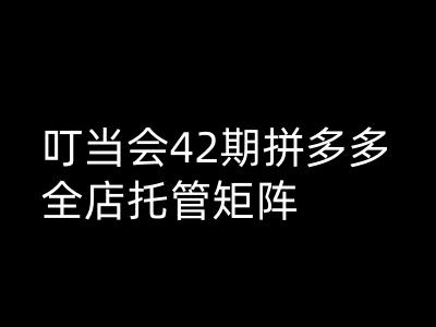 叮当会拼多多打爆班原创高阶技术第42期，拼多多全店托管矩阵-米创网
