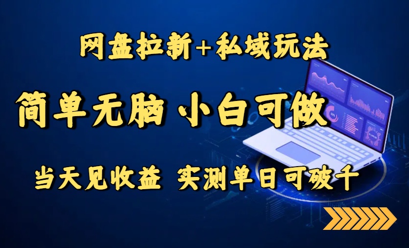 网盘拉新+私域玩法，简单无脑，小白可做，当天见收益，实测单日可破千-米创网