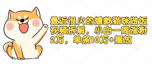 最近很火的爆款猫咪做饭视频拆解，小白一周涨粉2万，单条10万+播放(附保姆级教程)-米创网
