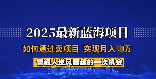 2025蓝海项目，普通人如何通过卖项目，实现月入过W，全过程【揭秘】-米创网