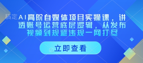 AI高阶自媒体项目实操课，讲透账号运营底层逻辑，从发布视频到规避违规一网打尽-米创网