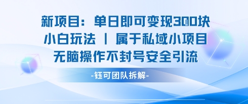 新项目单日即可变现3张的小白玩法无脑操作不封号安全引流-米创网