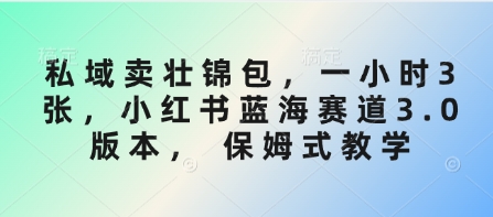 私域卖壮锦包，一小时3张，小红书蓝海赛道3.0版本， 保姆式教学-米创网