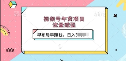 视频号年货项目，流量贼猛，早布局早挣钱，日入上k【揭秘】-米创网