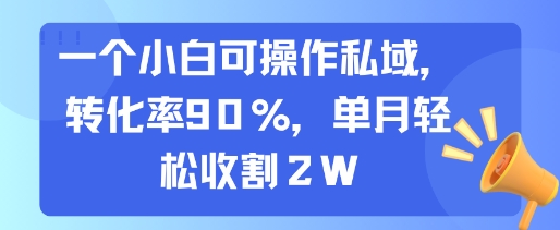 一个小白可操作私域，转化率90%，单月轻松收割2W-米创网
