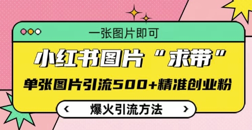小红书图片‘求带’爆火引流法，单张图片引流500+精准创业粉【揭秘】-米创网