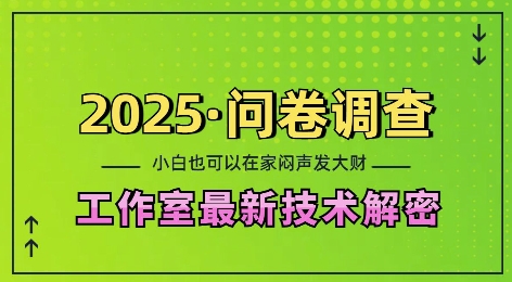 2025问卷调查最新工作室技术解密：一个人在家也可以闷声发大财，小白一天2张，可矩阵放大【揭秘】-米创网