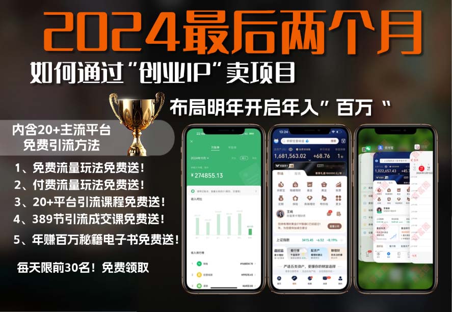 2024最后两个月如何通过”创业IP“卖项目年入”百万“,创业IP+最强引流...-米创网