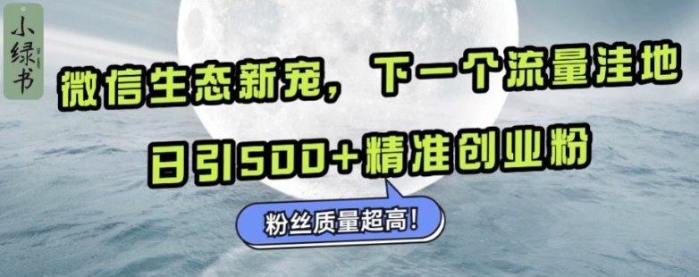 微信生态新宠小绿书：下一个流量洼地，日引500+精准创业粉，粉丝质量超高-米创网