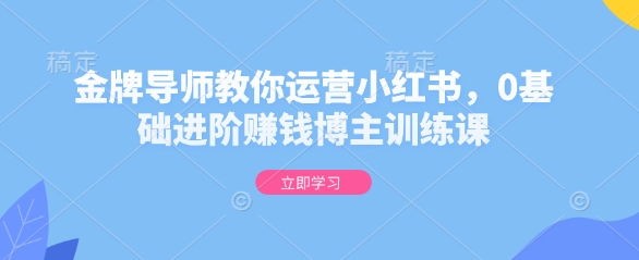 金牌导师教你运营小红书，0基础进阶赚钱博主训练课-米创网