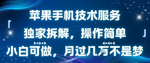 苹果手机技术服务，独家拆解，操作简单，小白可做，月过1W不是梦-米创网