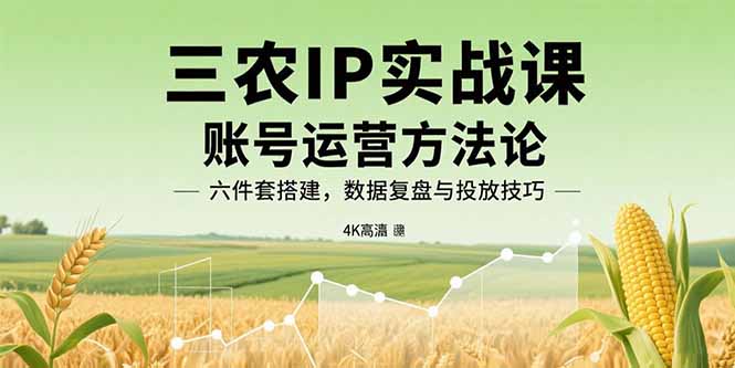 三农IP实战课：账号运营方法论，六件套搭建，数据复盘与投放技巧-米创网