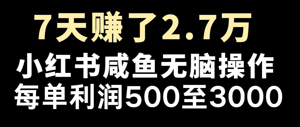最赚钱项目之一，2025爆火，逆风翻盘！-米创网
