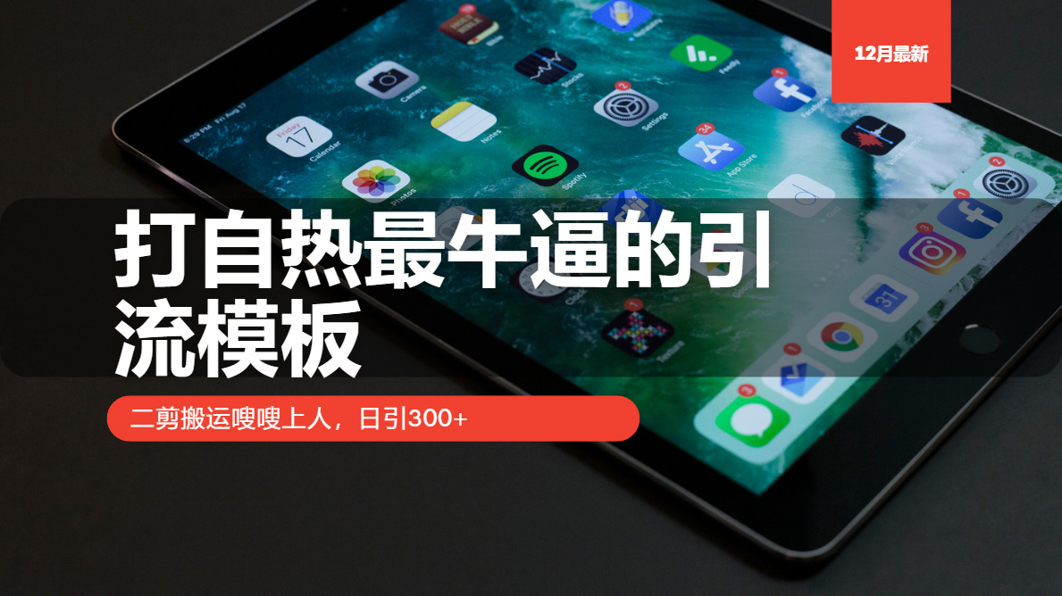 打自热最牛逼的引流模板，二剪搬运嗖嗖上人，日引300+-米创网