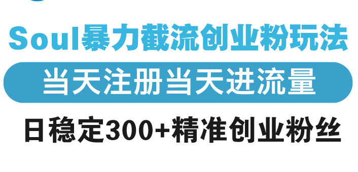 Soul暴力截流创业粉玩法，当天注册当天进流量，日稳定300+精准创业粉丝-58创客