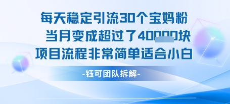 每天稳定引流30个人 当月变成超过了4个W项目流程非常简单适合小白-米创网