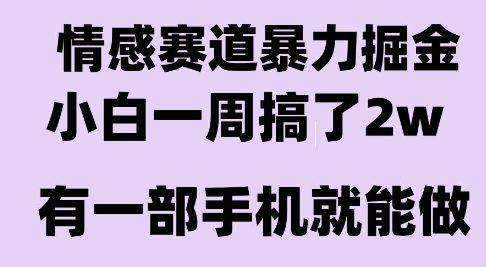 情感暴力掘金项目，新人操作一周挣了2W，长期稳定小白可做【揭秘】-米创网