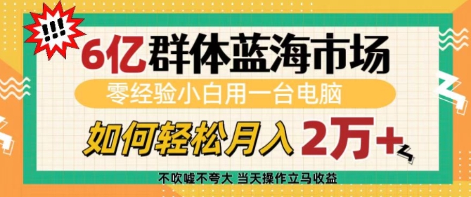 6亿群体蓝海市场，零经验小白用一台电脑，如何轻松月入过w【揭秘】-米创网