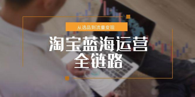 淘宝蓝海运营全链路，从选品到流量变现，小类目突围完整方案-米创网