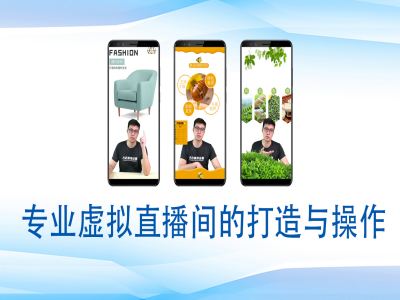 个人虚拟直播间的搭建与操作，专业虚拟直播间的打造与操作-米创网