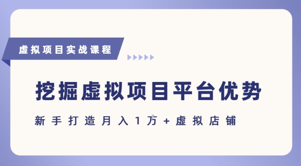 抓住虚拟项目各平台优势，新手轻松月入1W+(给出具体建议)-米创网