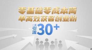 零基础零成本简单高效获客创业粉，一天引流30+-米创网