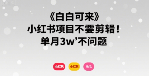 小白可来 小红书项目不需要剪辑 单月3w不是问题-米创网