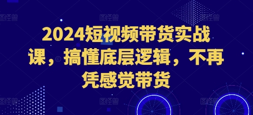 2024短视频带货实战课，搞懂底层逻辑，不再凭感觉带货-米创网