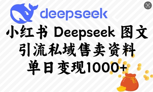 小红书Deepseek图文引流私域售卖资料，单日变现多张-米创网