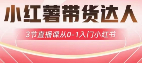 小红薯达人带货启航计划，3节直播课从0-1入门小红书-米创网