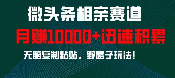 微头条相亲赛道，迅速积累，无脑复制粘贴，野路子玩法，月入1w-米创网