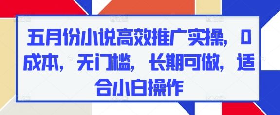 五月份小说高效推广实操，0成本，无门槛，长期可做，适合小白操作-米创网