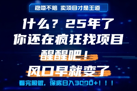 什么？25年你还在疯狂找项目做，醒醒吧，看完这些你全都懂了！【揭秘】-米创网