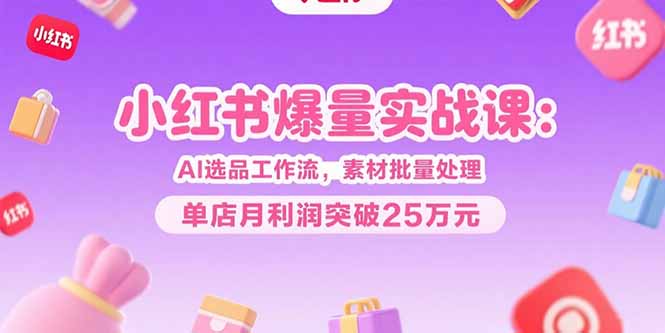 小红书爆量实战课：AI选品工作流，素材批量处理，单店月利润突破25万元-米创网