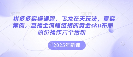 拼多多实操课程，飞龙在天玩法，真实案例，直播全流程链接的黄金sku布局原价操作六个活动-米创网