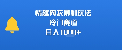 情趣内衣暴利玩法，冷门赛道，日入1k+-米创网