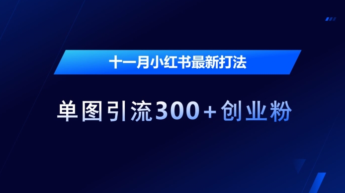 十一月小红书最新打法，单图引流300+创业粉【揭秘】-米创网
