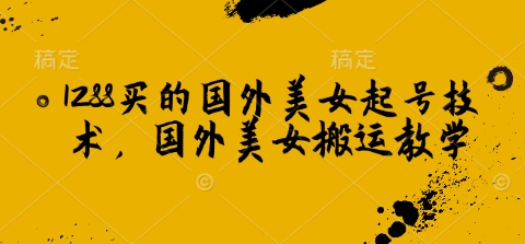 1288买的国外美女起号技术，国外美女搬运教学-米创网