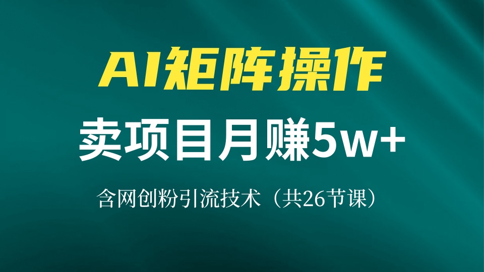 网创IP打造课，借助AI卖项目月赚5万+，含引流技术(共26节课-米创网