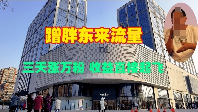蹭胖东来流量，三天涨万粉，收益直接起飞-米创网