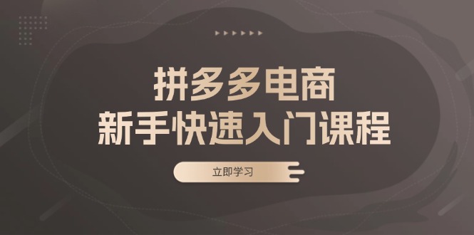 拼多多电商新手快速入门课程：涵盖基础、实战与选款，助力小白轻松上手-米创网