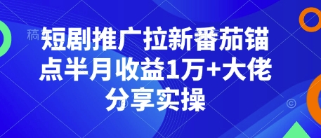 短剧推广拉新番茄锚点半月收益1万+大佬分享实操-米创网