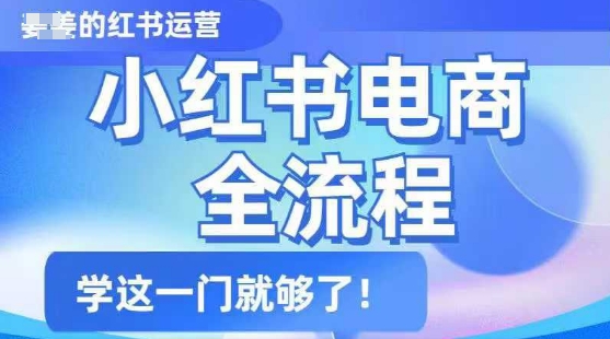 小红书电商全流程，精简易懂，从入门到精通，学这一门就够了-米创网