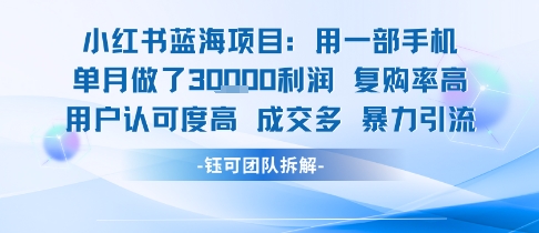 小红书蓝海项目，一部手机单月做了3W利润，小白也能月入过1W用户认可度高成交多-米创网