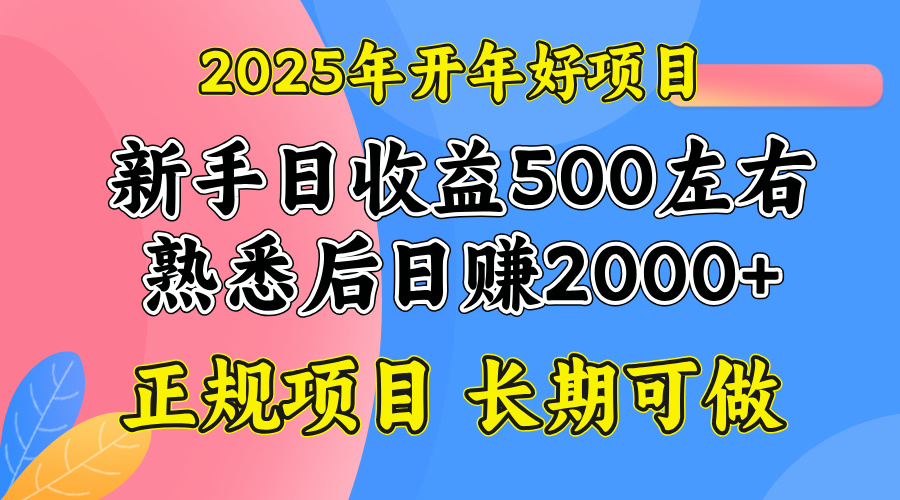 2025开年好项目，单号日收益2000左右-米创网