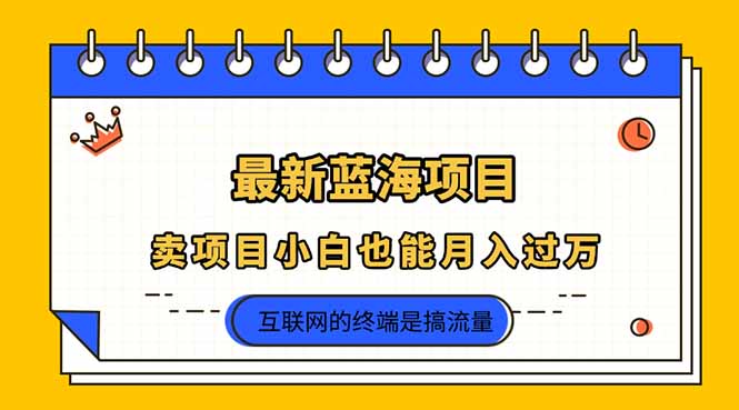 2025年最新蓝海项目，卖项目小白也能月入过万-米创网