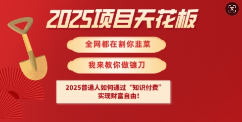 2025项目天花板普通人如何通过知识付费，实现财F自由【揭秘】-米创网