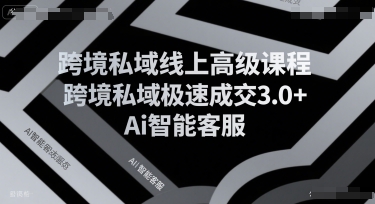 跨境私域线上高级课程，跨境私域极速成交3.0+Ai智能客服-米创网