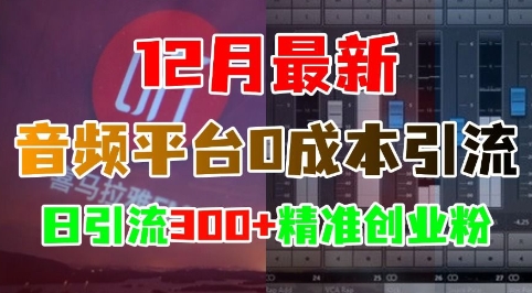 12月最新：音频平台0成本引流，日引流300+精准创业粉-米创网