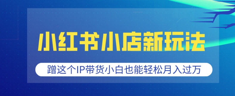 小红书小店新玩法，蹭这个IP带货，小白也能轻松月入过W【揭秘】-米创网